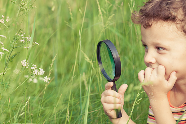 La imagen muestra a un niño con una lupa observando flores