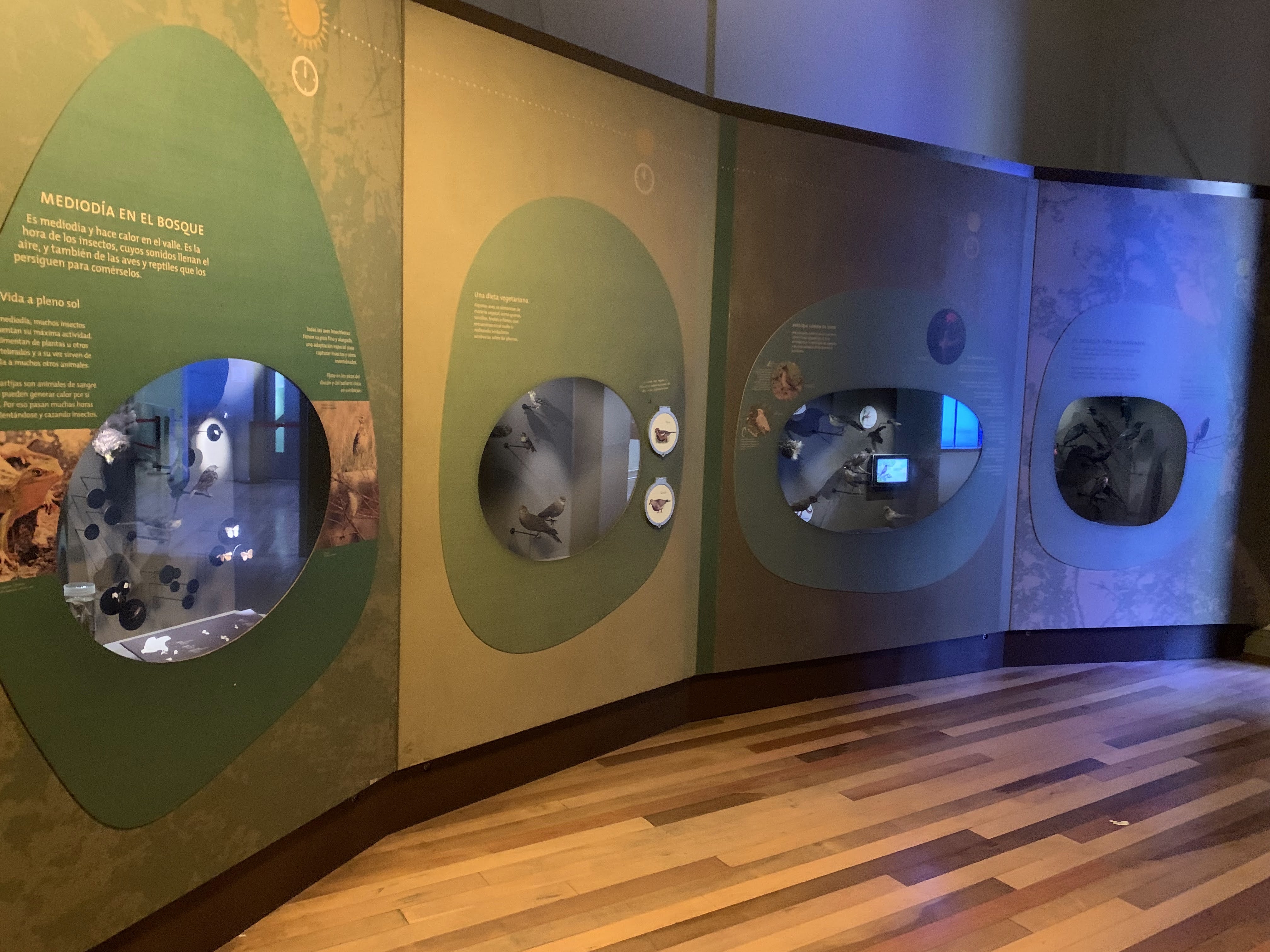 Museo natural de Valparaíso