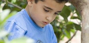 La imagen muestra a un niño sentado en un arbol leyendo un libro