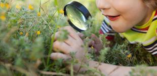 La imagen muestra a un niño recostado en el pasto mirando flores con una lupa