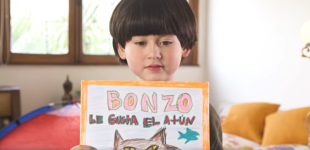 Buscando a Bonzo