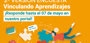 2° versión encuesta Vinculando Aprendizajes