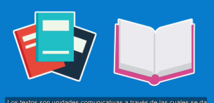 Lengua y Literatura: Registro y procesamiento de la información