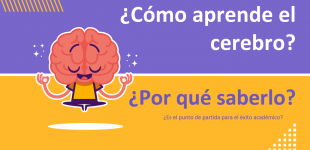 Aprender a aprender cómo aprende el cerebro es el punto de partida, no sólo para mejorar académicamente, sino también emocional y socialmente