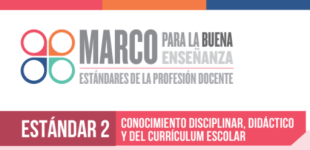 Estándar 2 - Conocimiento disciplinar, didáctico y del curricular escolar