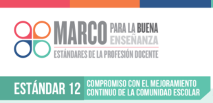 Estándar 12 - Compromiso con el mejoramiento continuo de la comunidad escolar