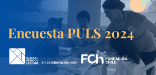 Encuesta PULS 2024