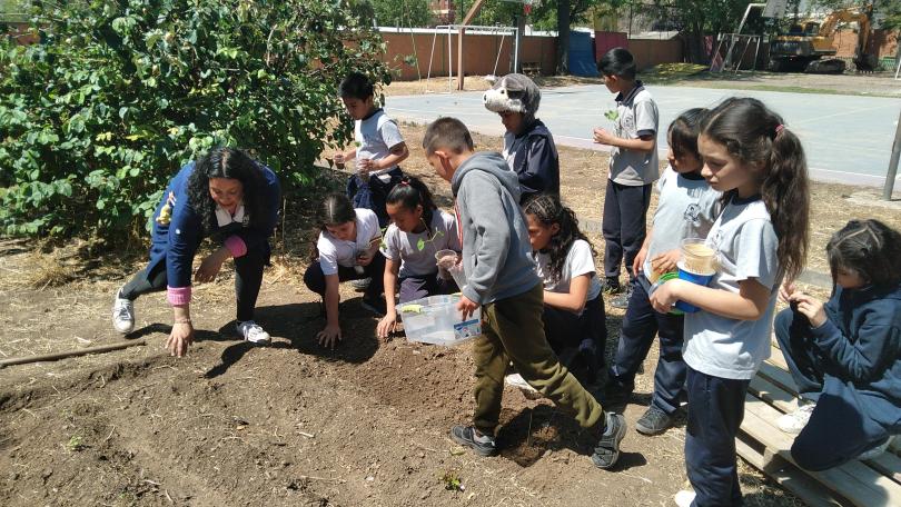 Huerto escolar Escuela Básica Likan Antai