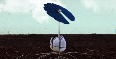 planta digital