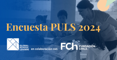 Encuesta PULS 2024